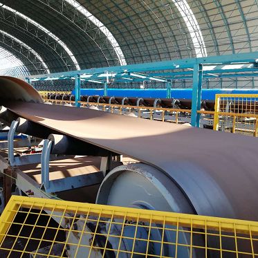 EP/NN Roj Resistant Conveyor Siv