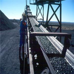 Cold Resistant Steel Cord Conveyor Siv